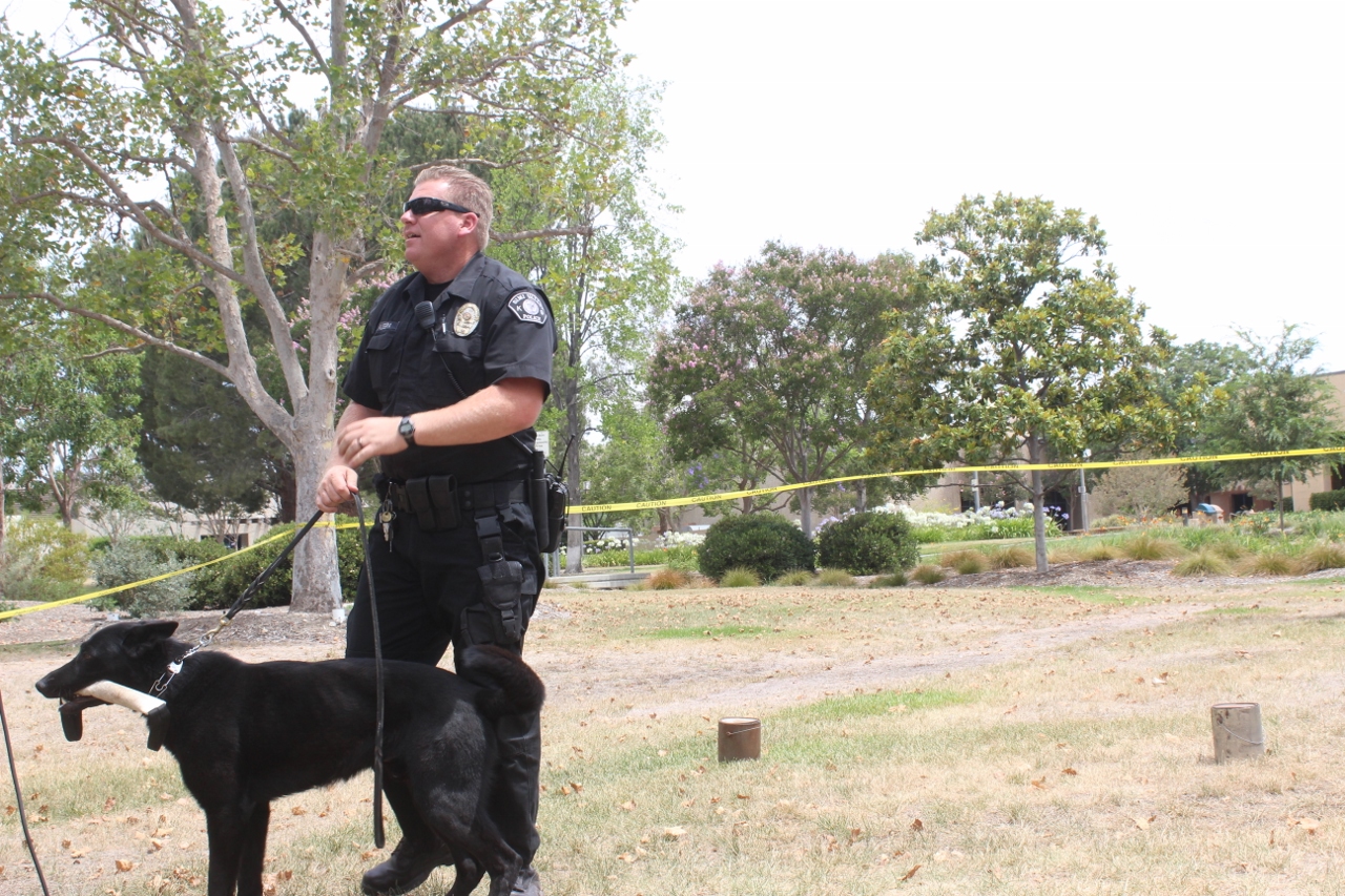 Simi Valley Corvettes