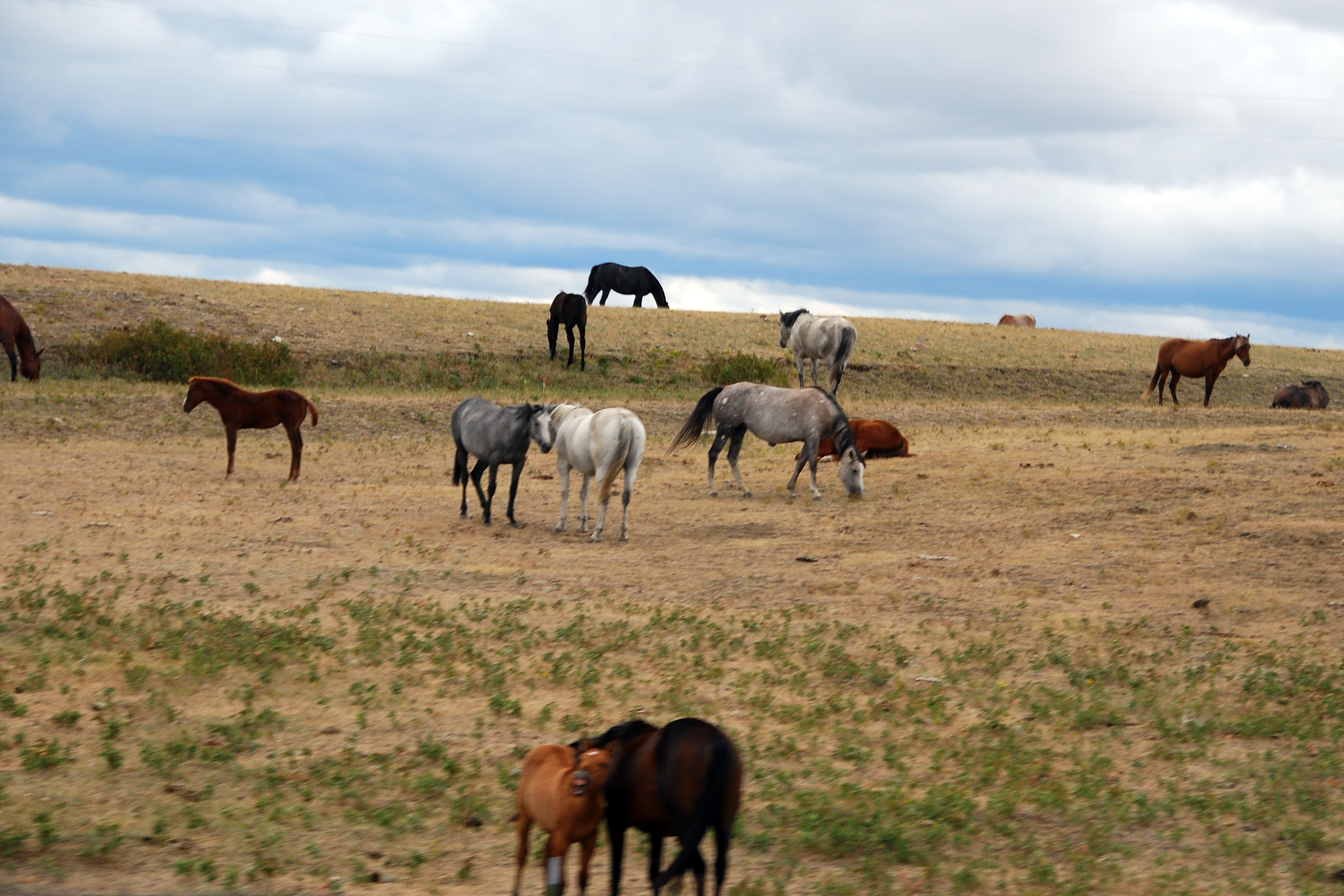 Simi Valley Corvettes