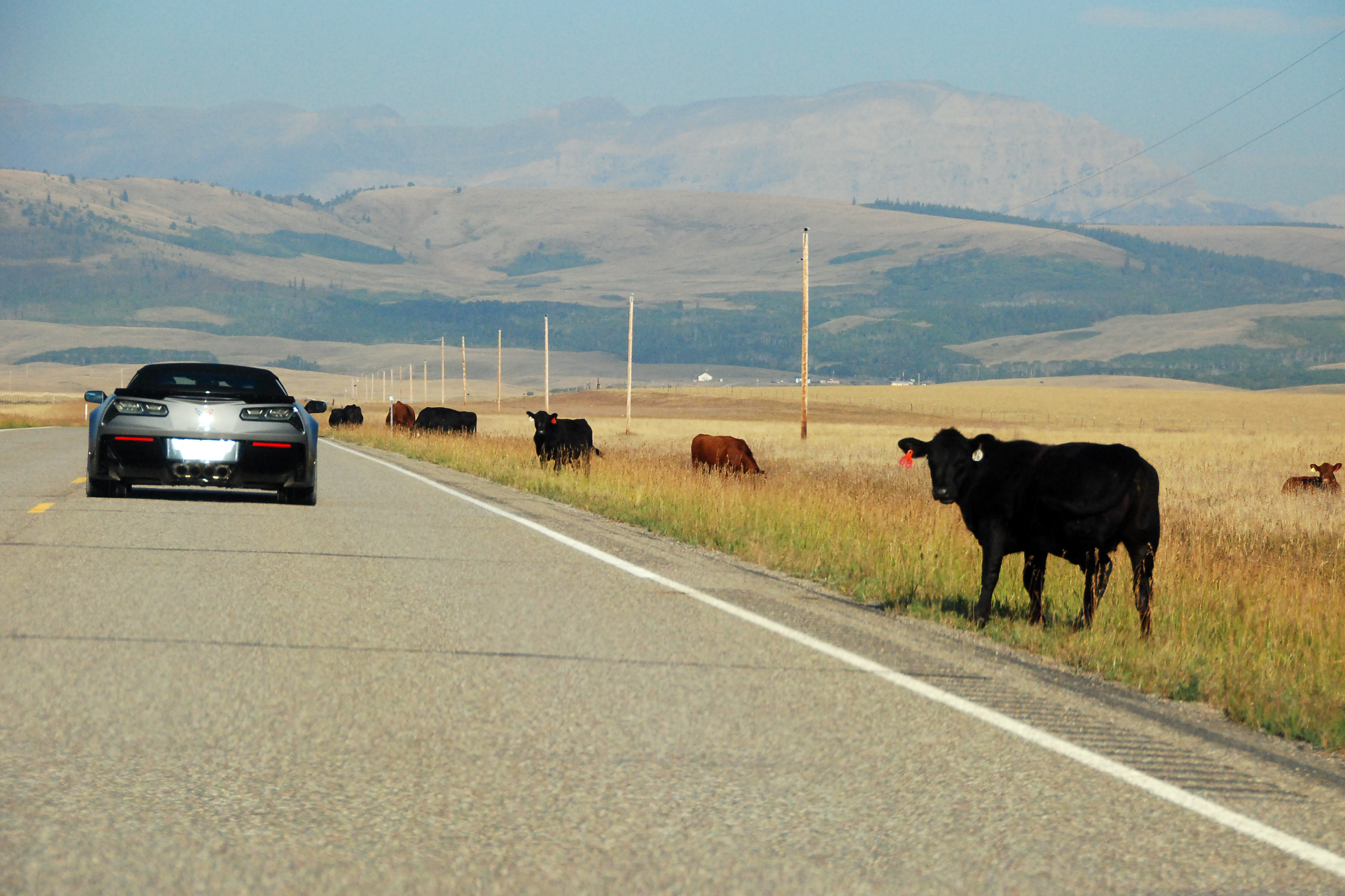 Simi Valley Corvettes