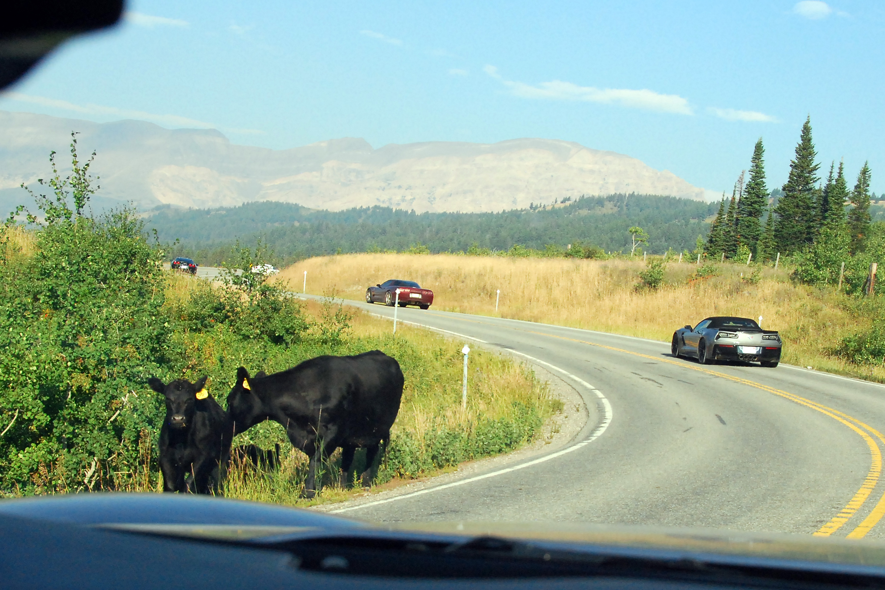 Simi Valley Corvettes