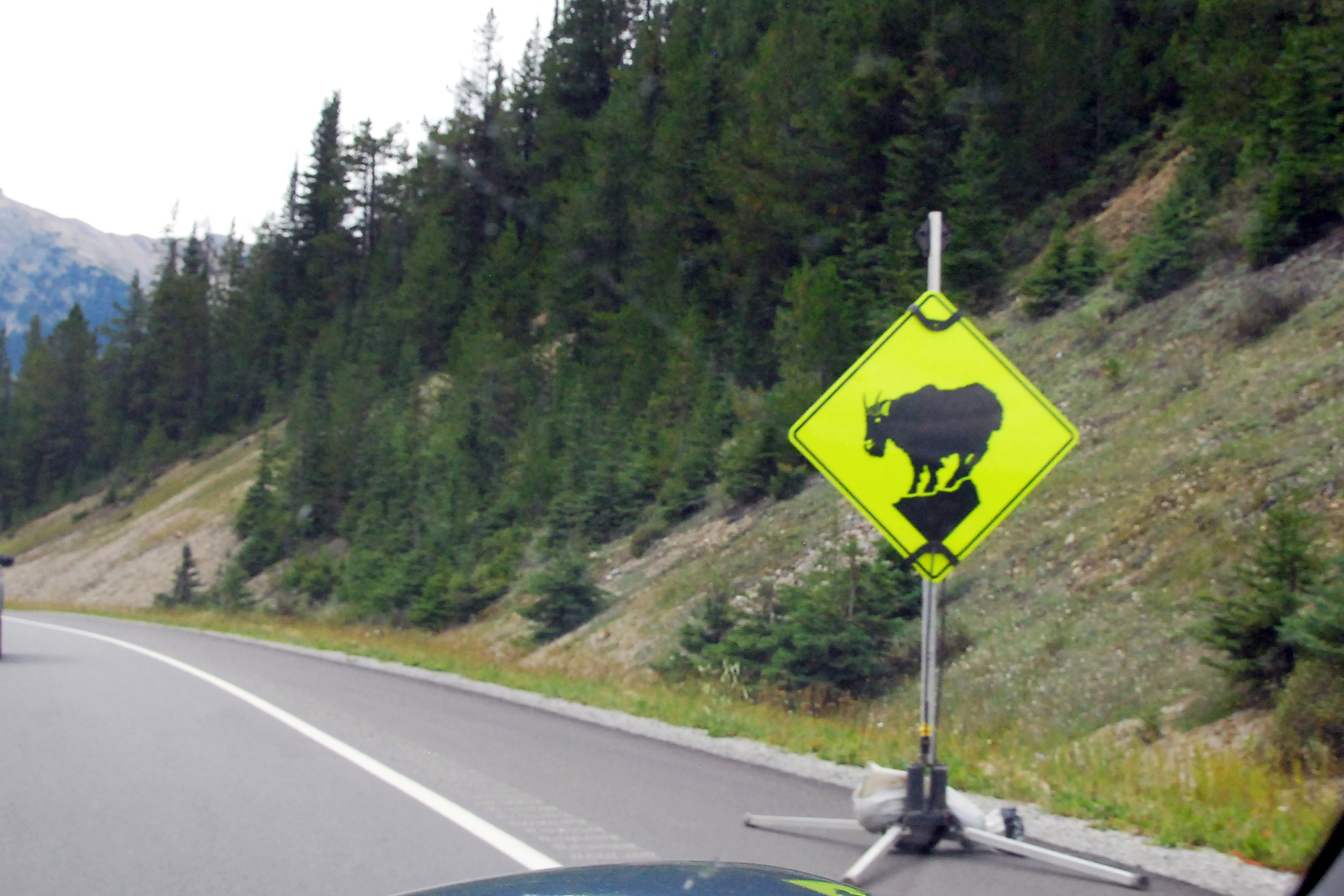 Simi Valley Corvettes