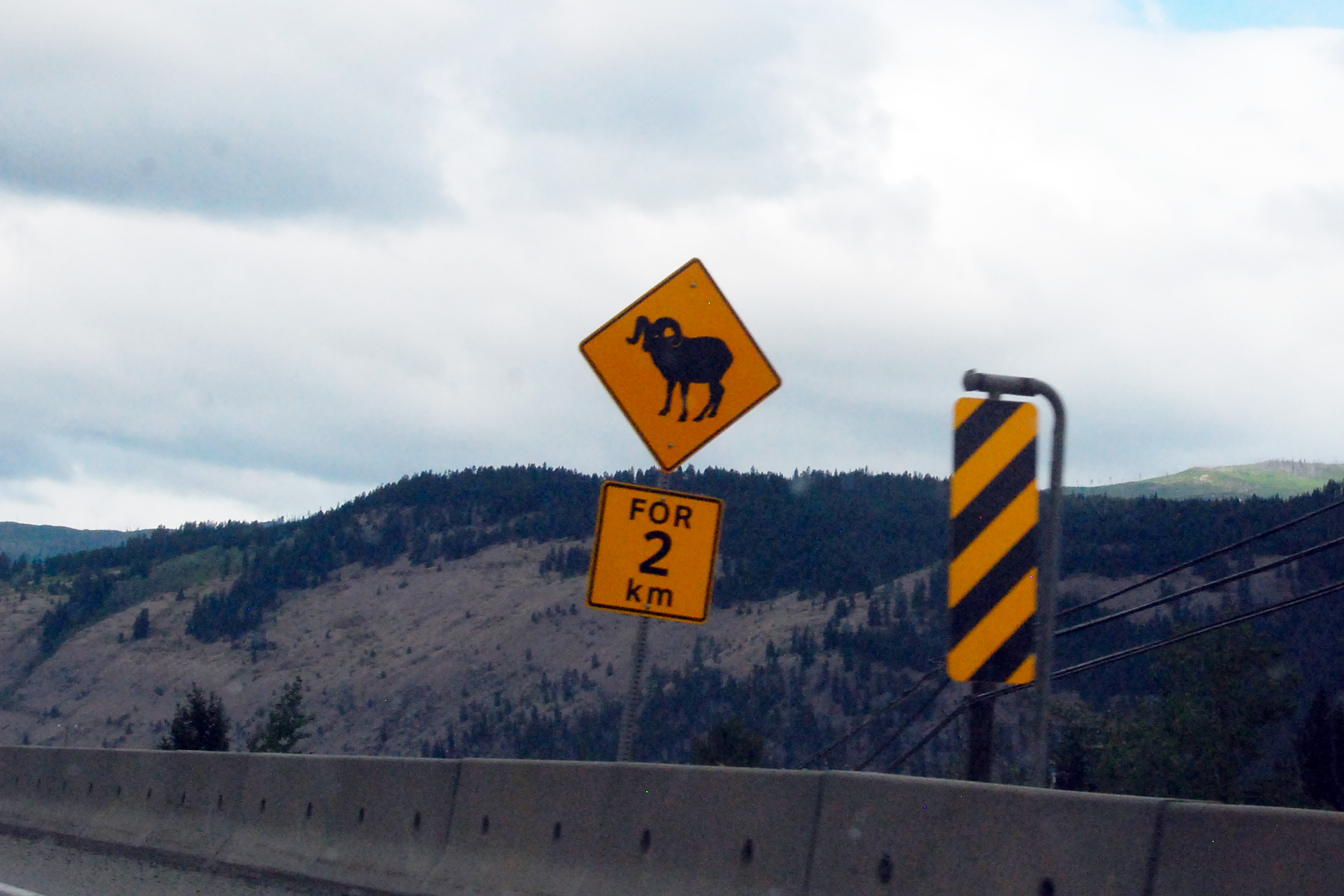 Simi Valley Corvettes