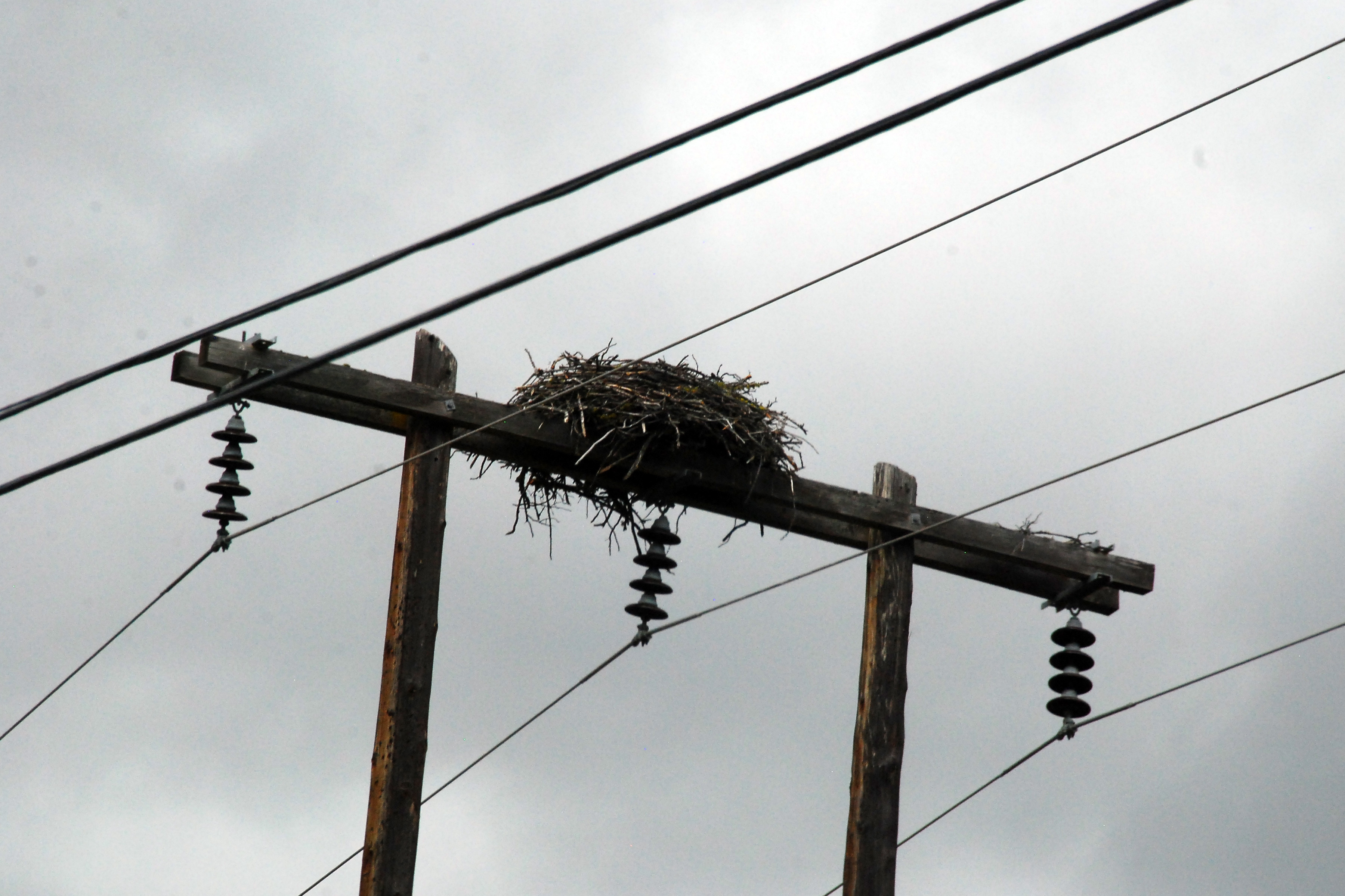 Simi Valley Corvettes
