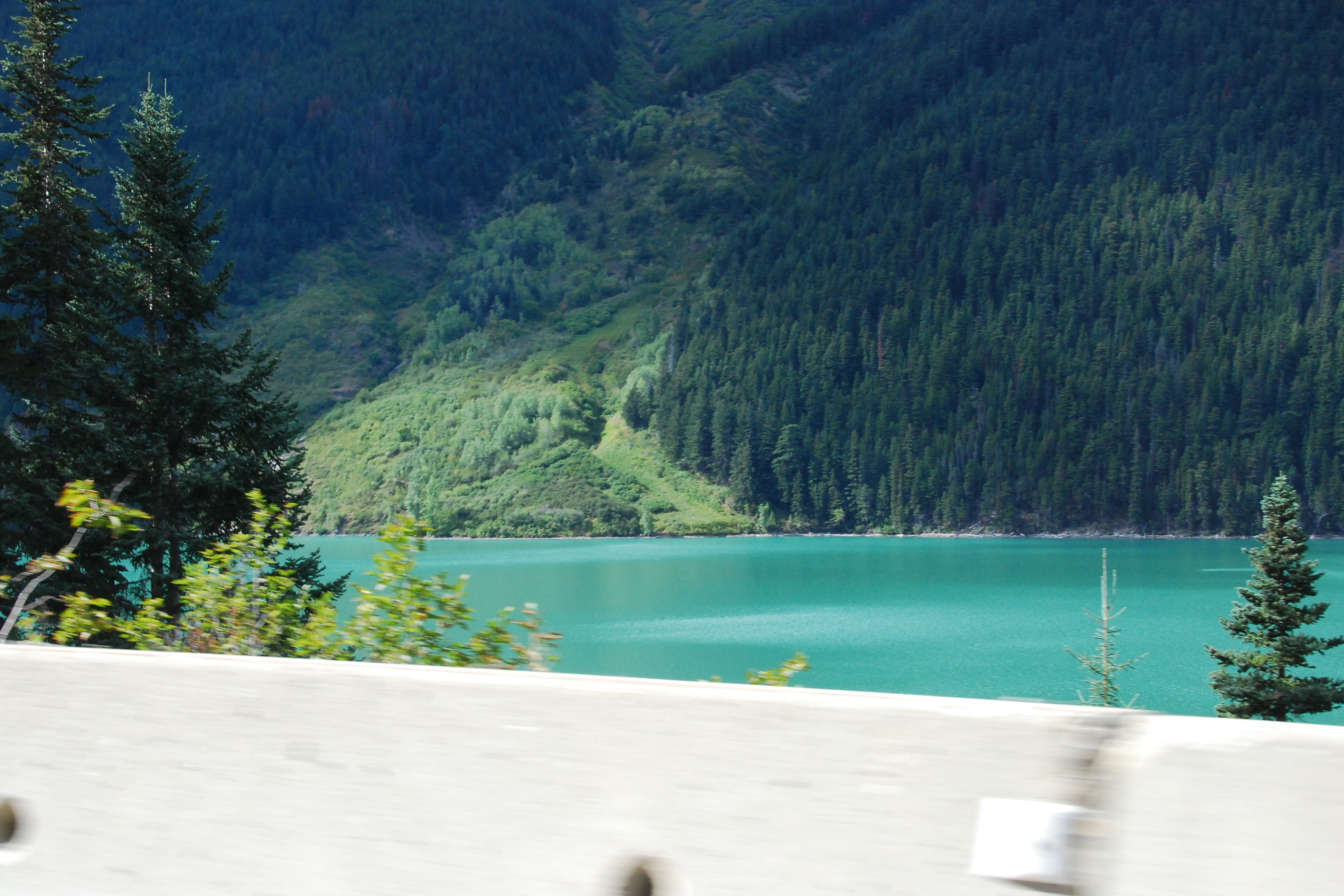 Simi Valley Corvettes