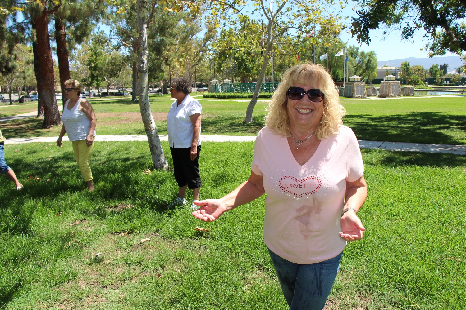 Simi Valley Corvettes