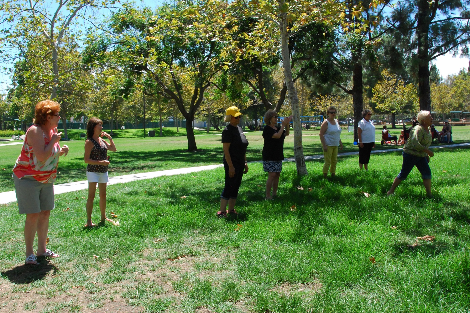 Simi Valley Corvettes