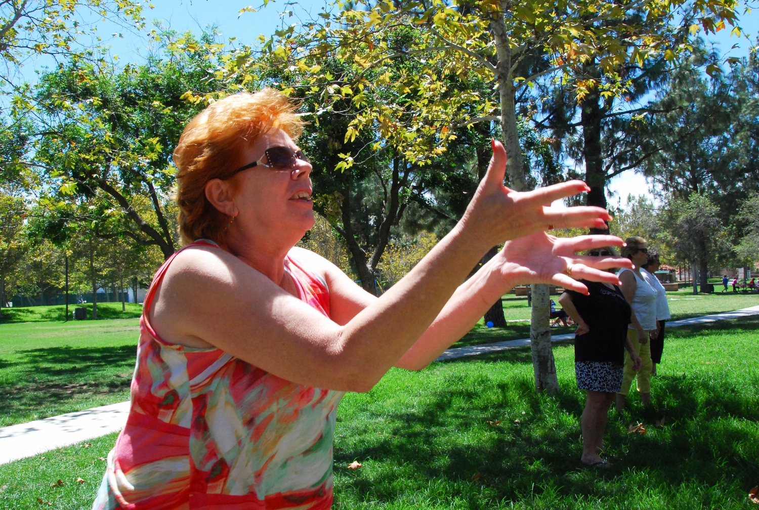 Simi Valley Corvettes