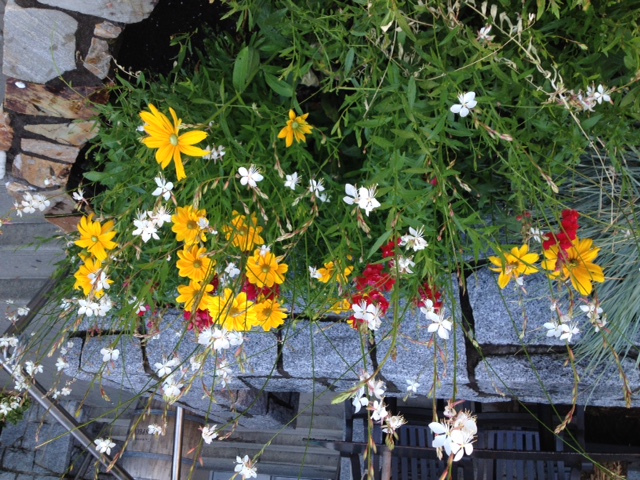 Simi Valley Corvettes