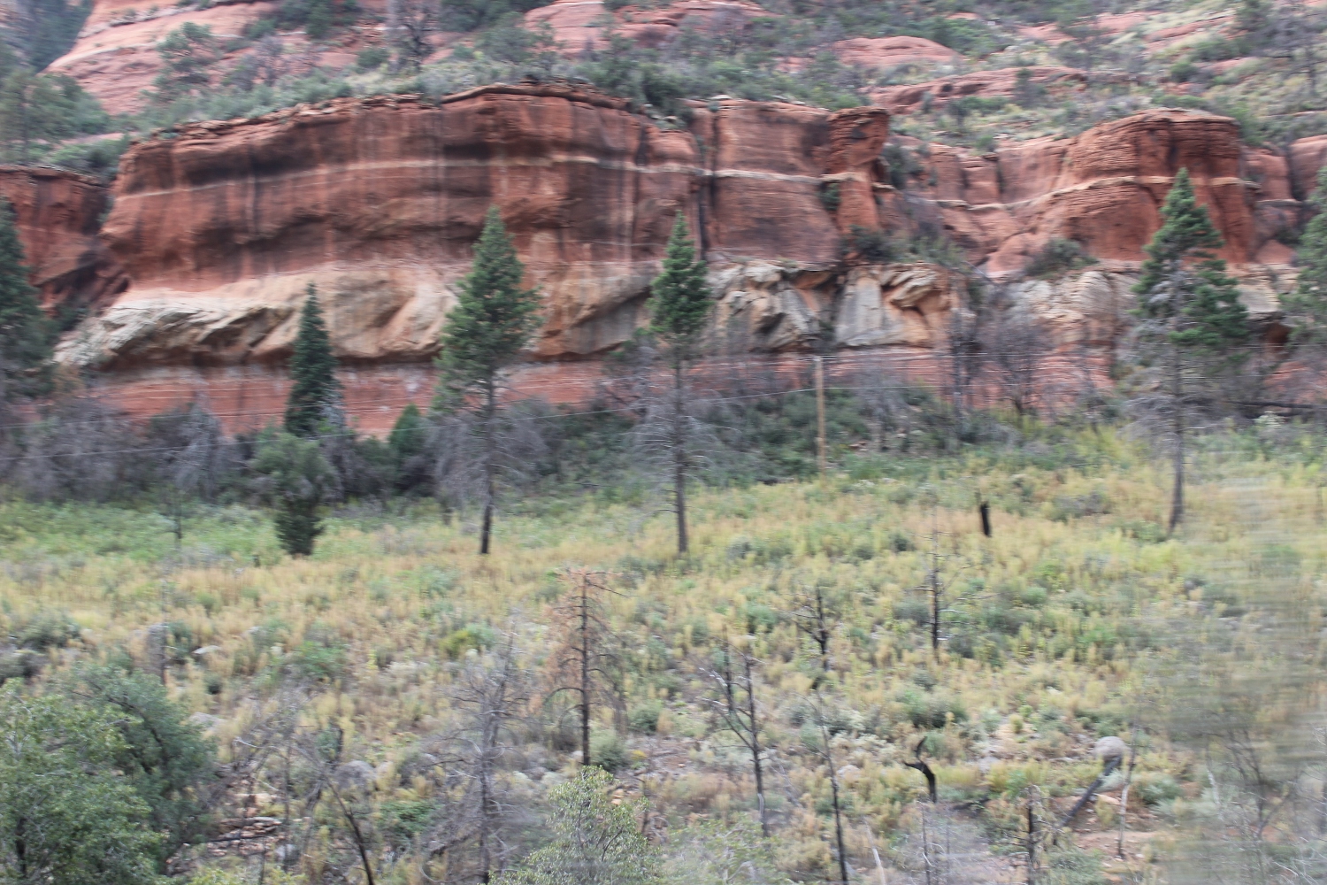 Simi Valley Corvettes