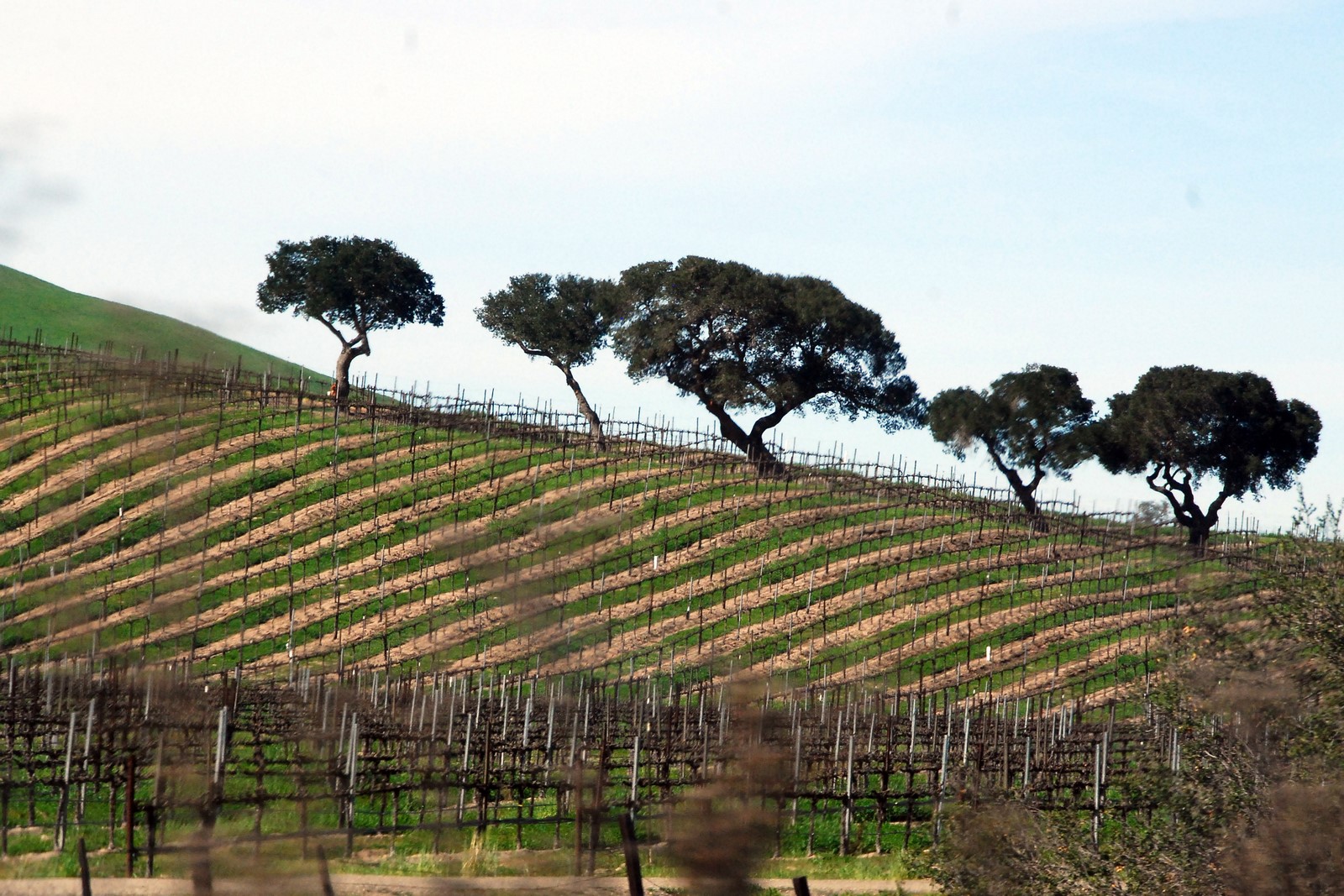 Simi Valley Corvettes