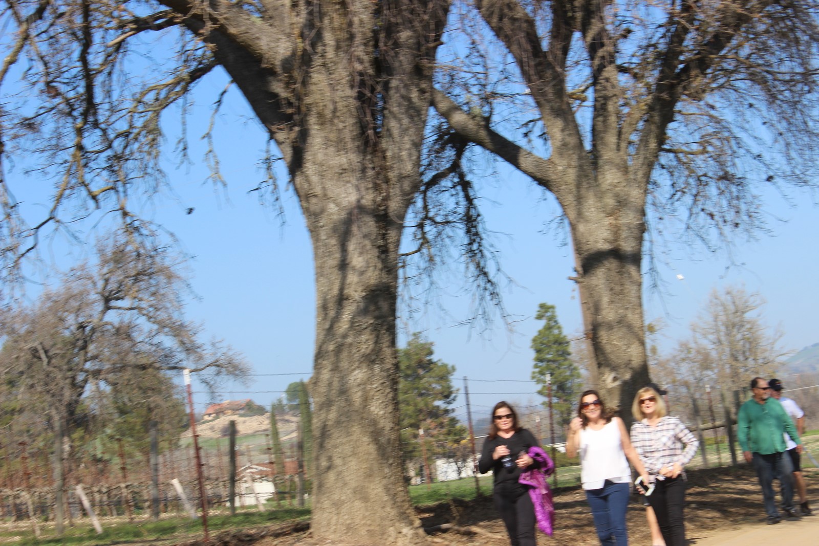 Simi Valley Corvettes