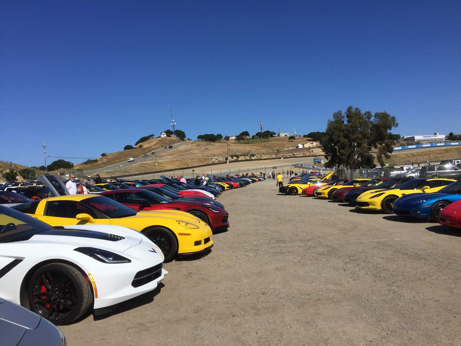 Simi Valley Corvettes