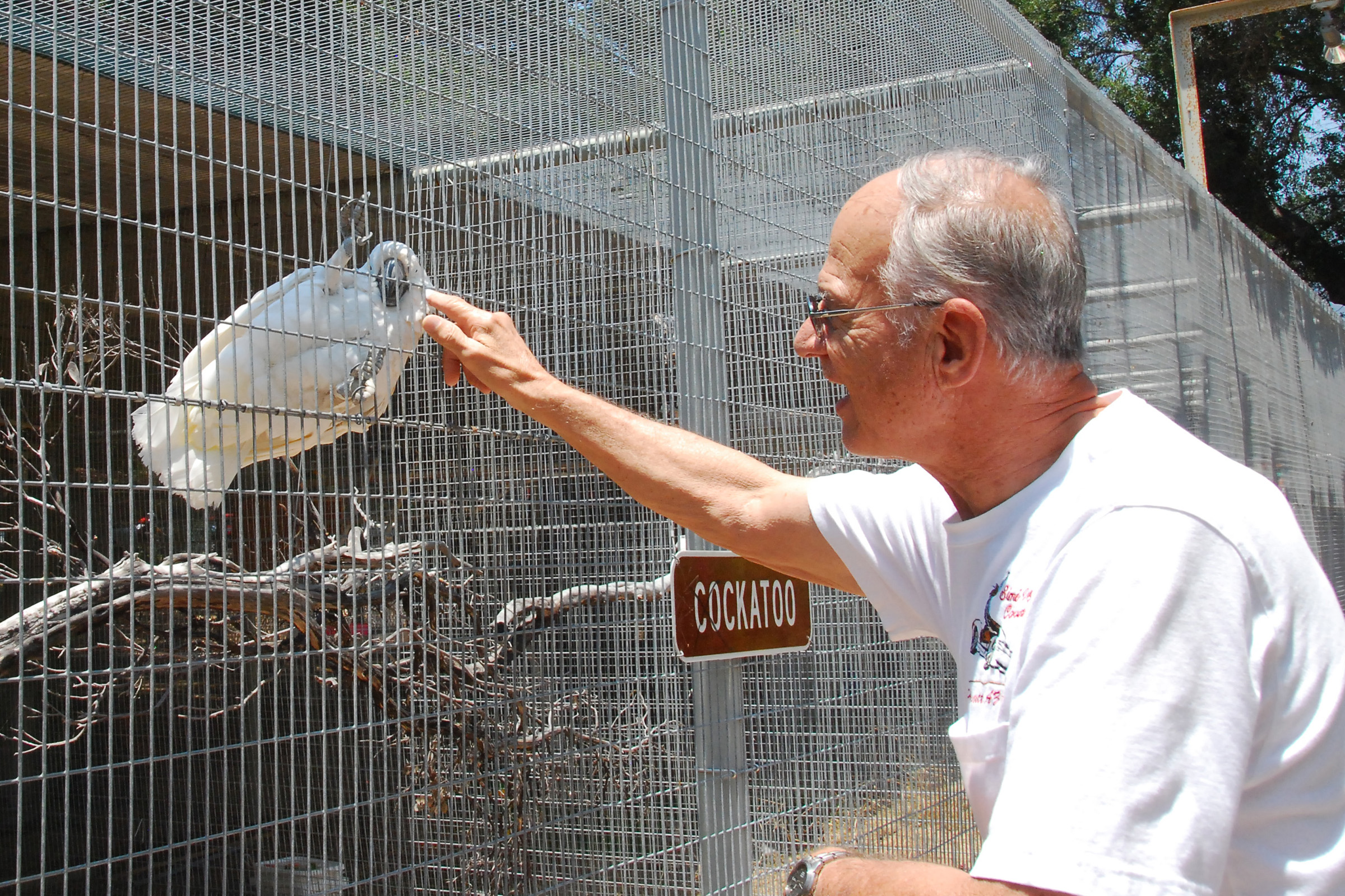 Simi Valley Corvettes