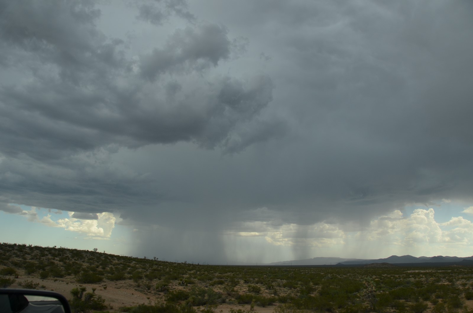 Simi Valley Corvettes
