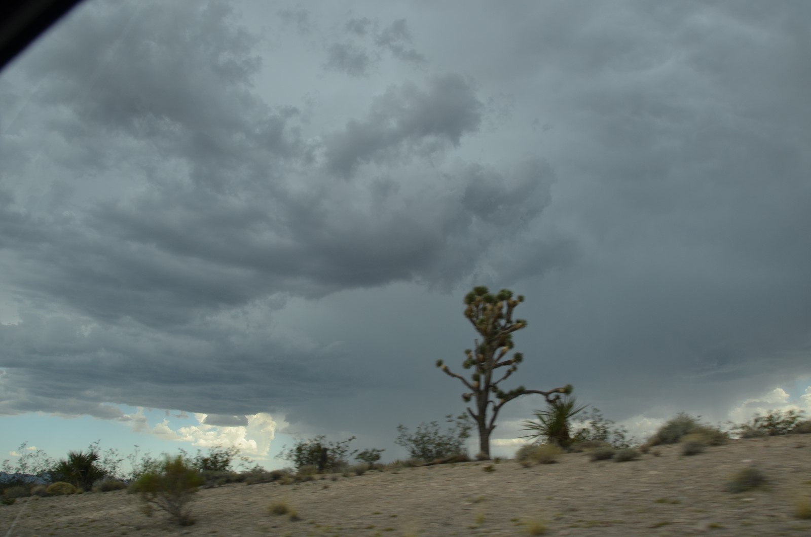 Simi Valley Corvettes