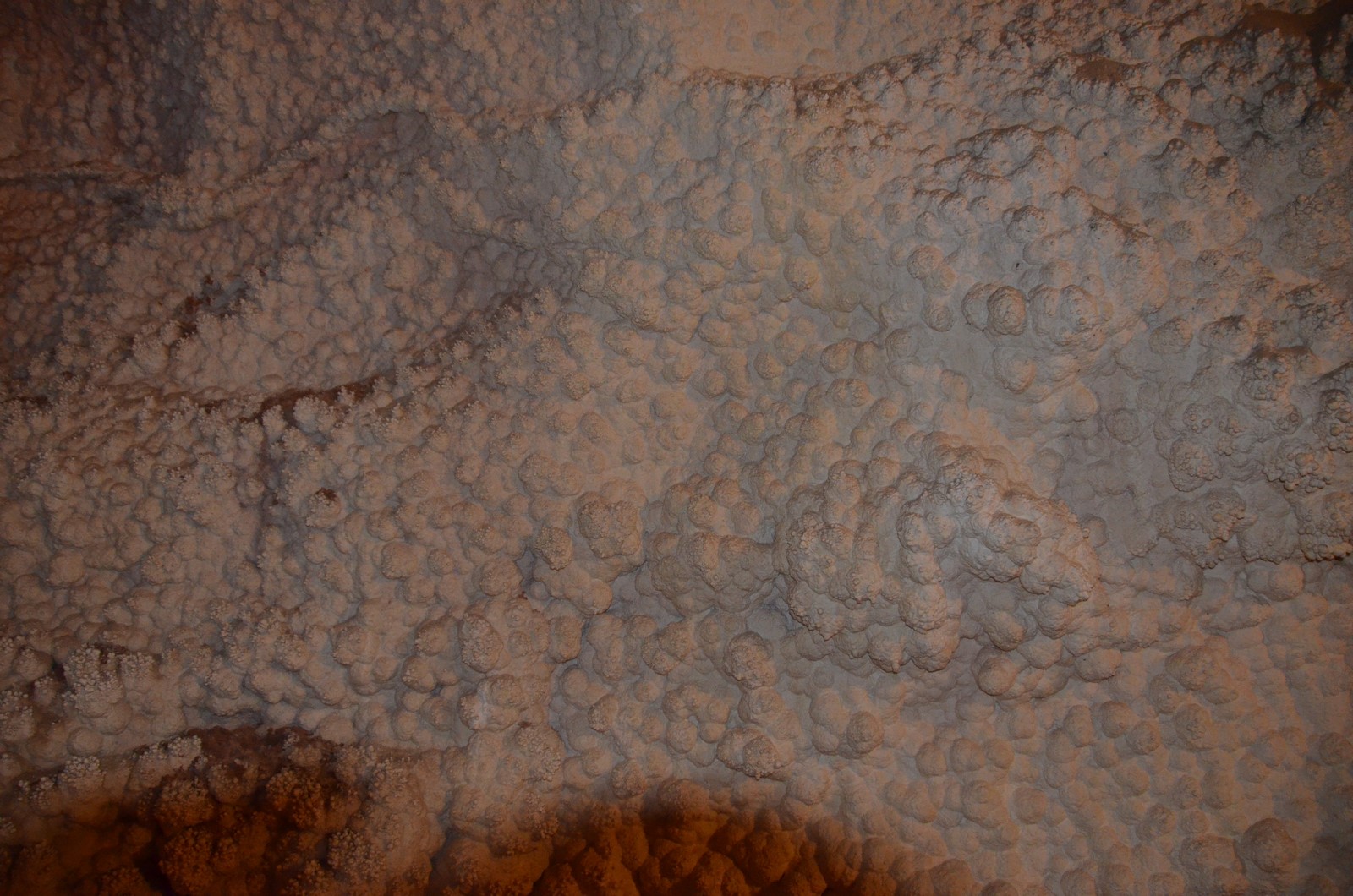 Simi Valley Corvettes