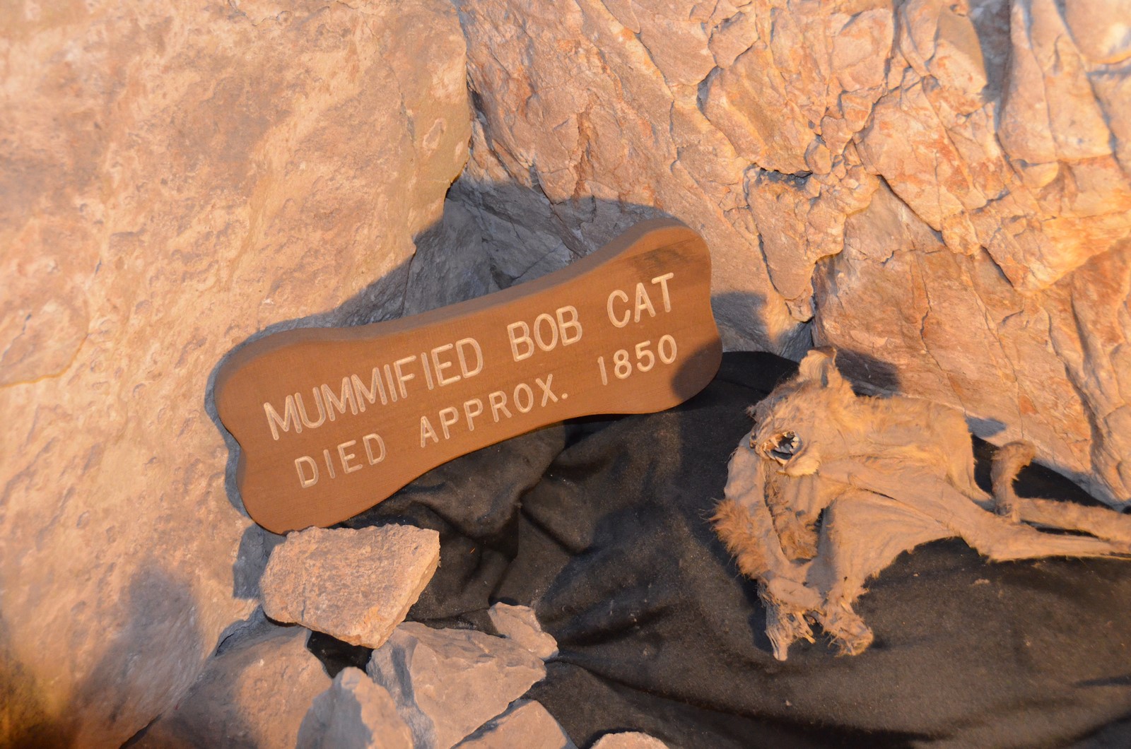 Simi Valley Corvettes