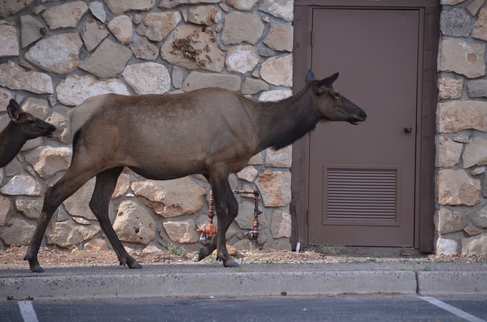 Simi Valley Corvettes