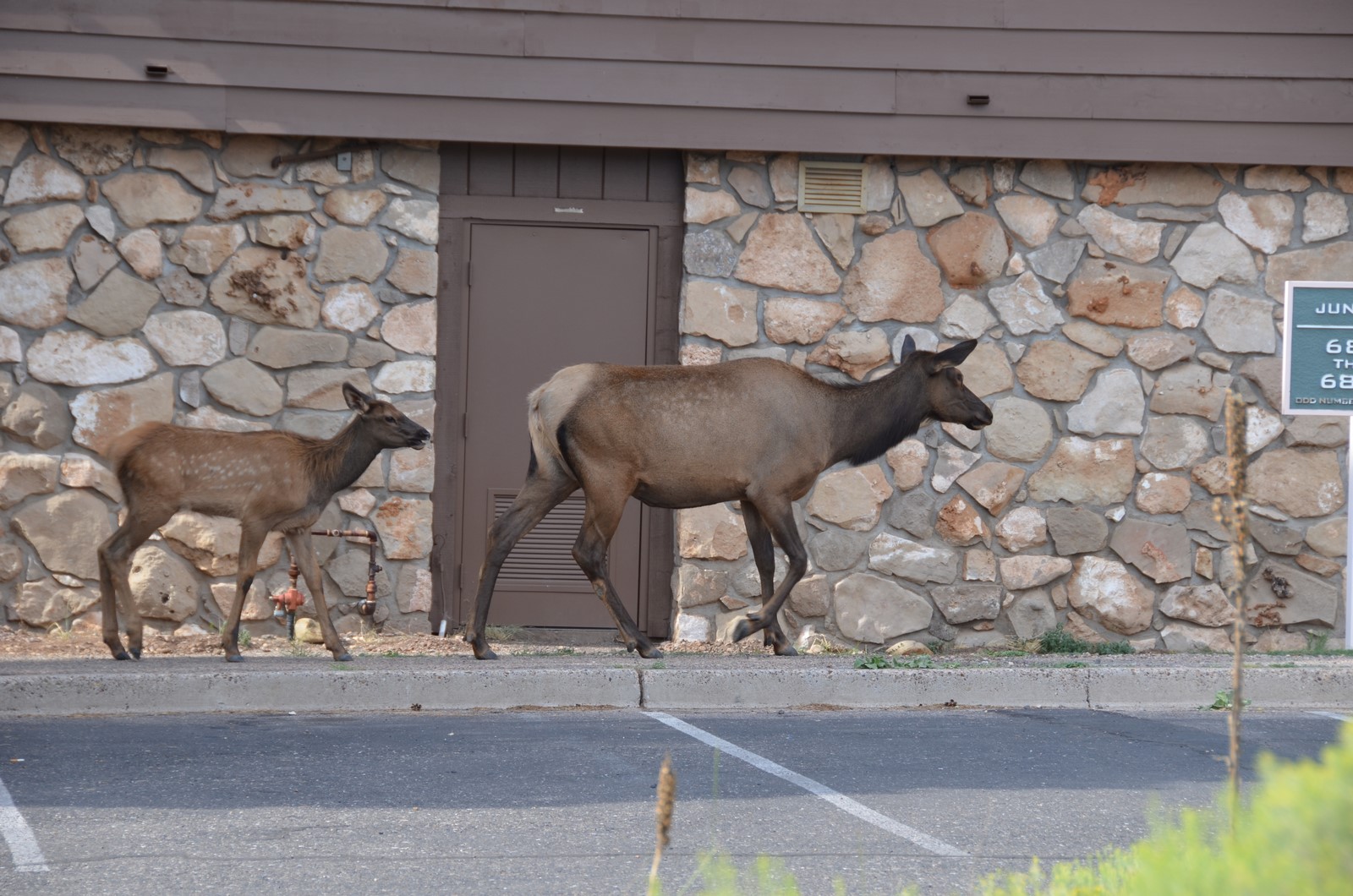 Simi Valley Corvettes