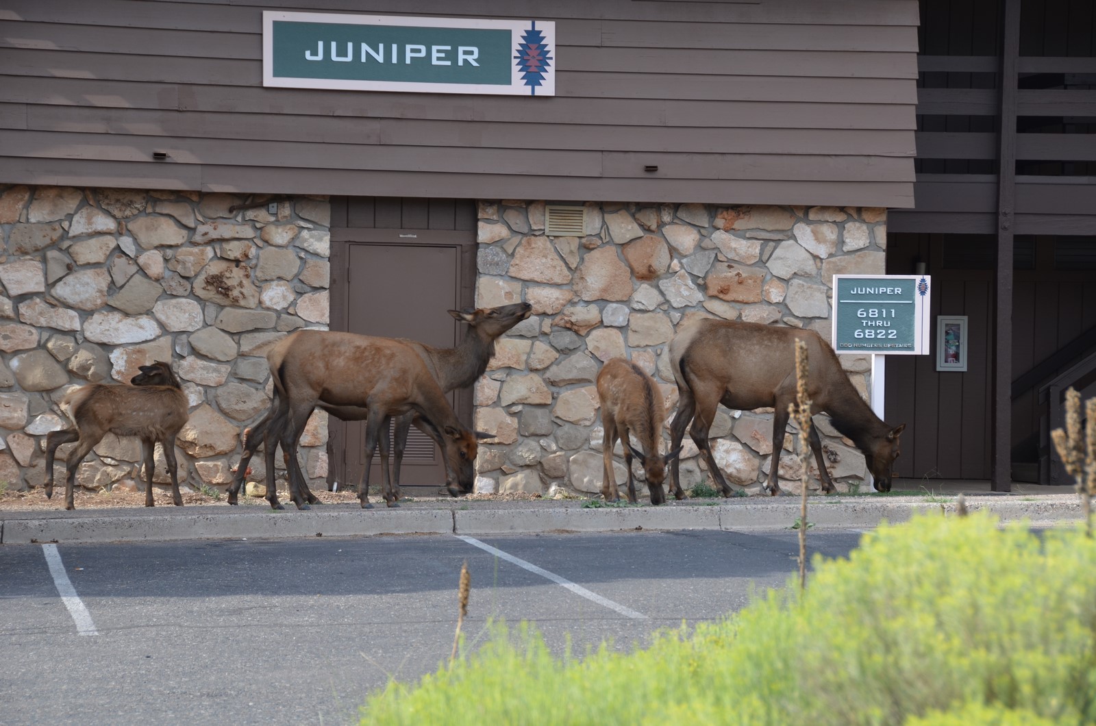 Simi Valley Corvettes
