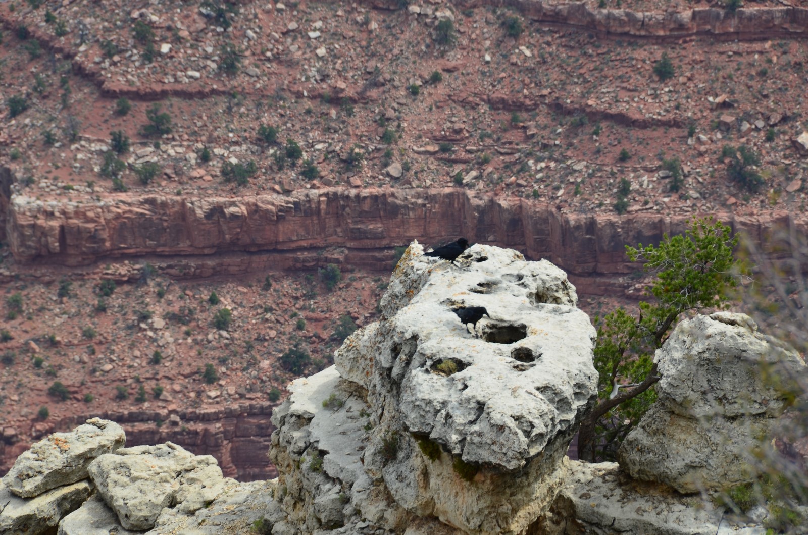Simi Valley Corvettes