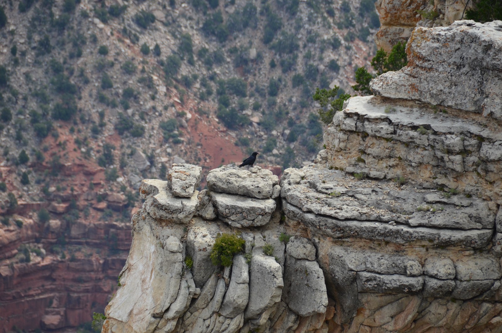 Simi Valley Corvettes