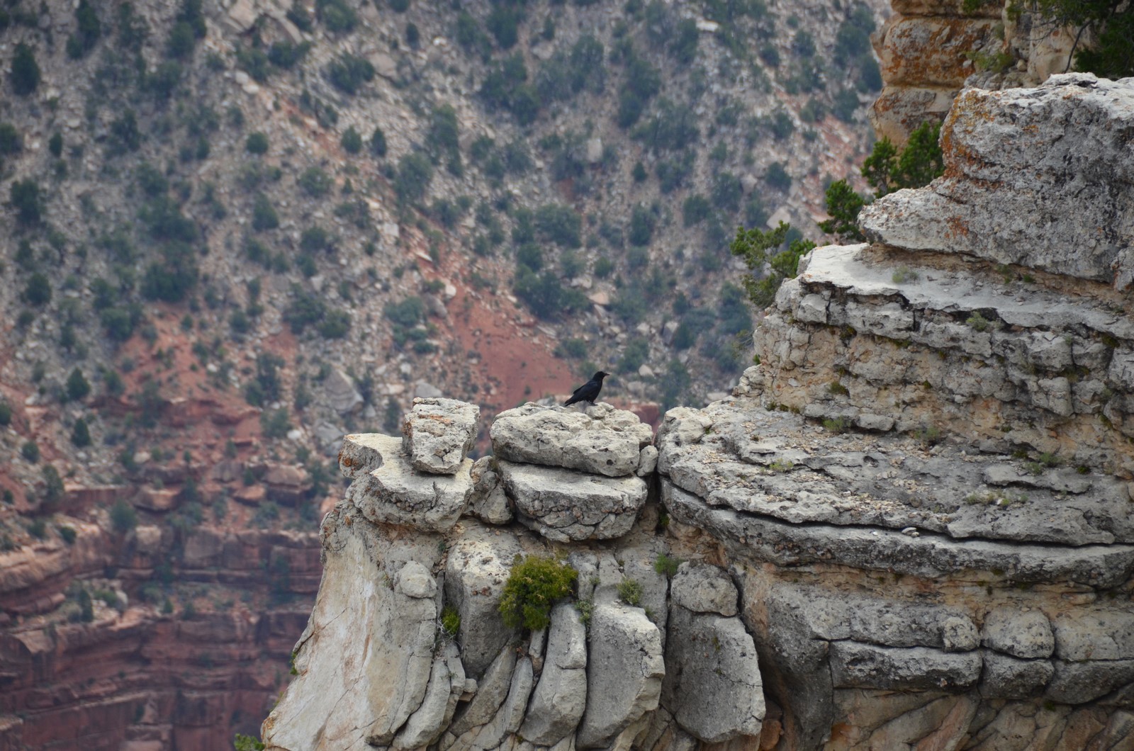Simi Valley Corvettes