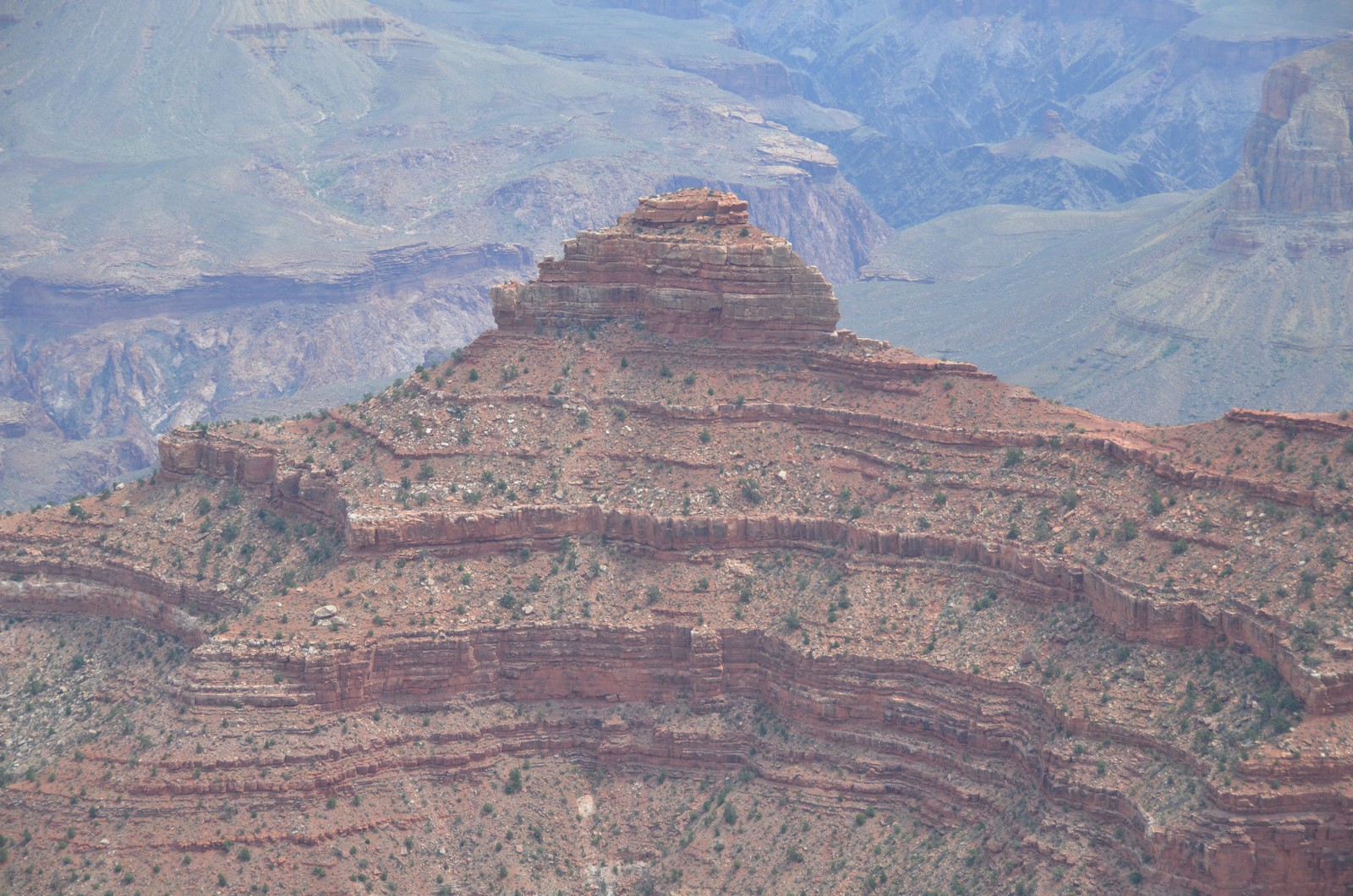Simi Valley Corvettes