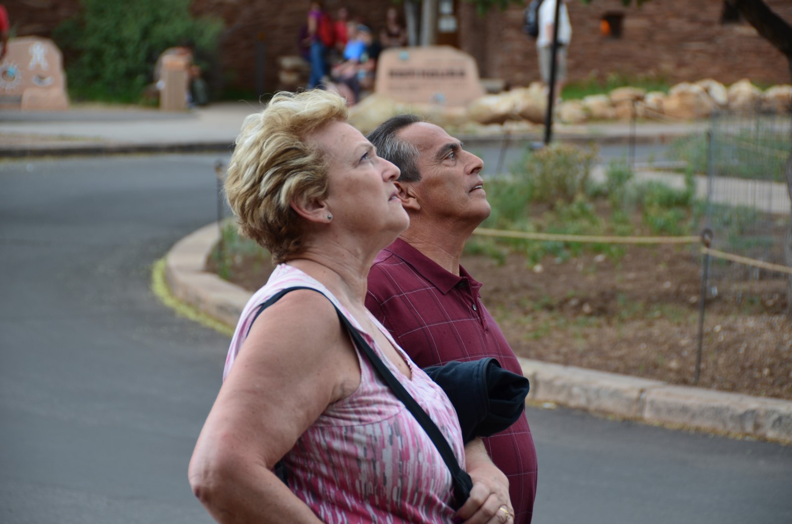 Simi Valley Corvettes