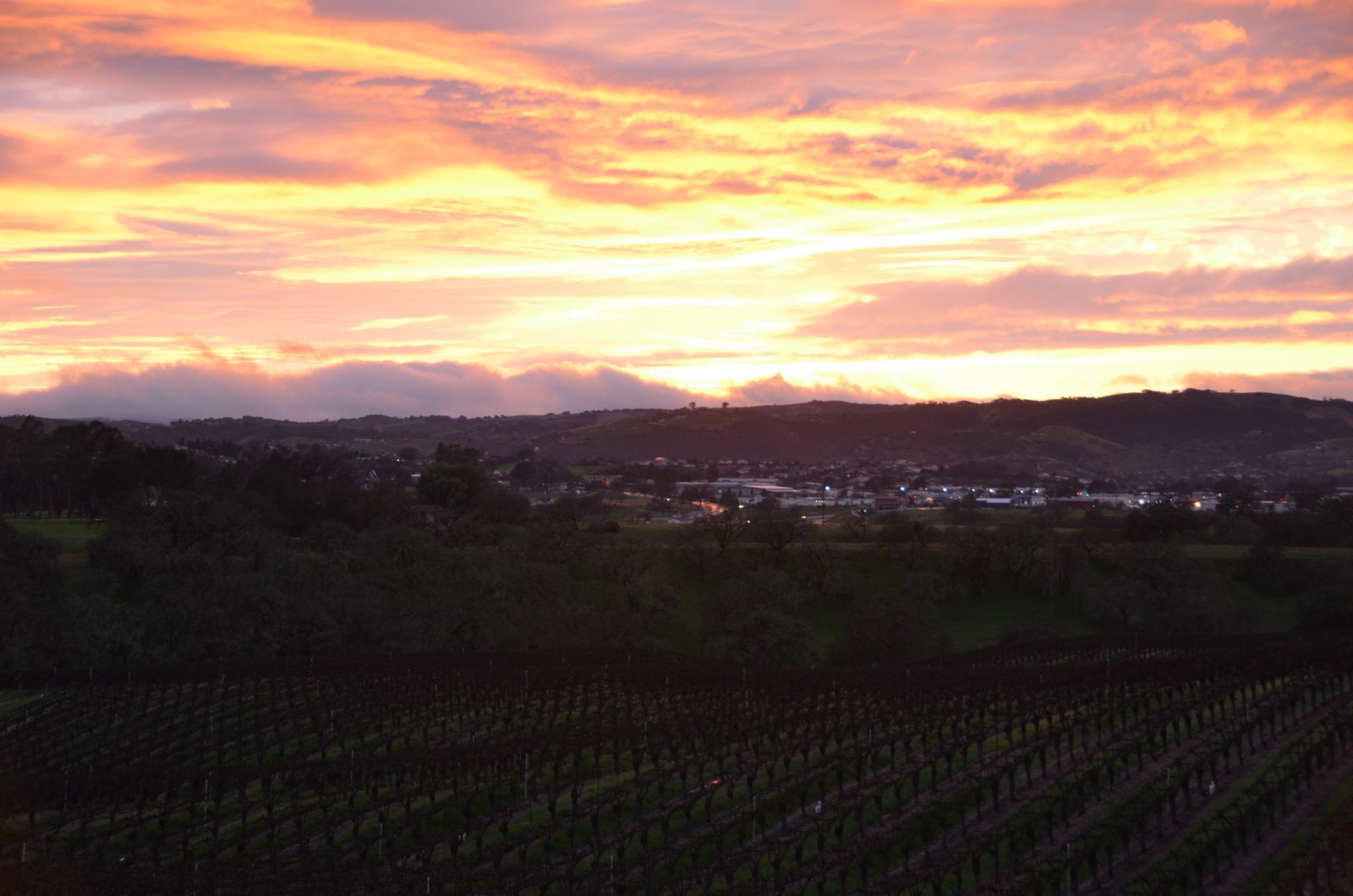 Simi Valley Corvettes