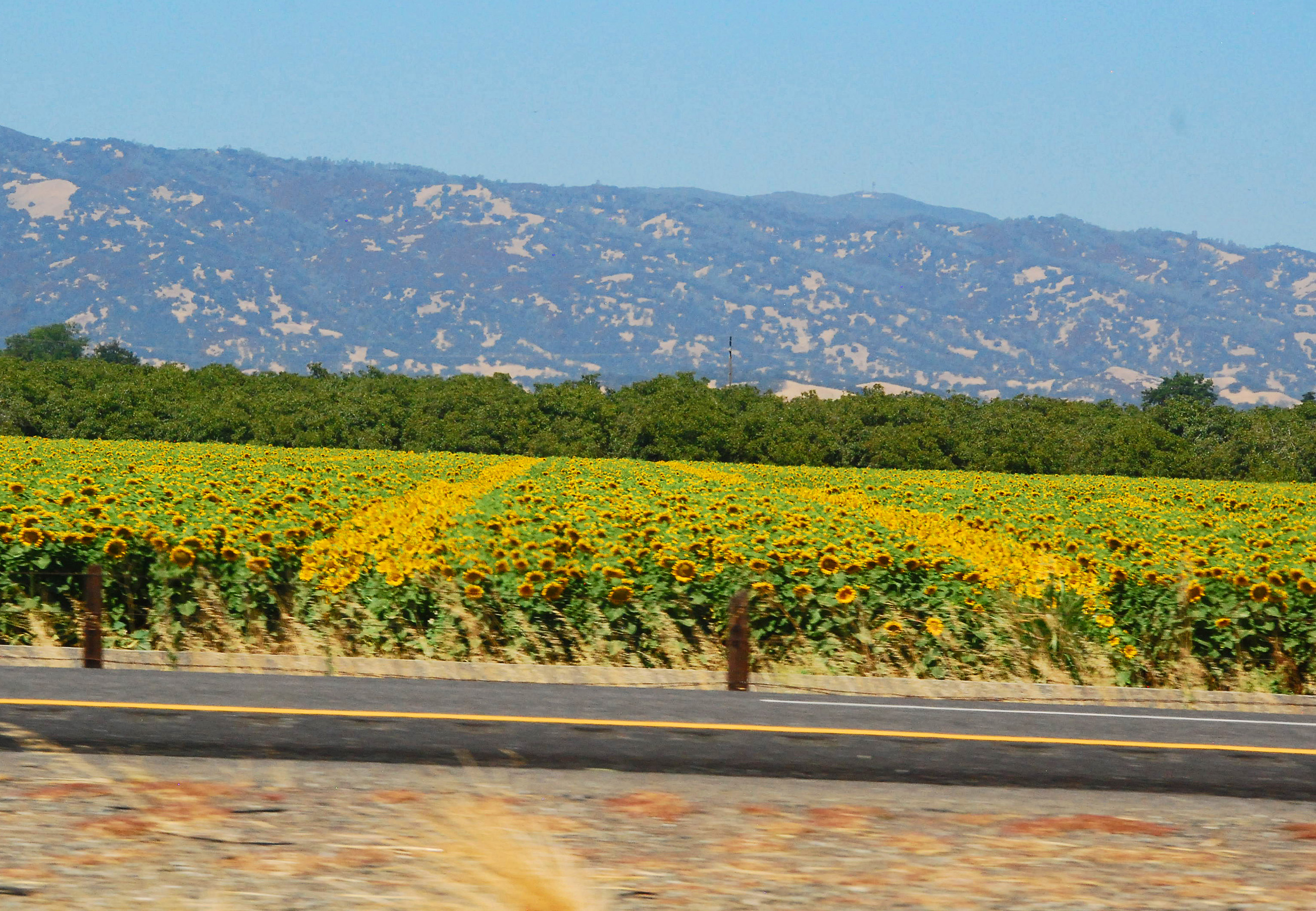 Simi Valley Corvettes