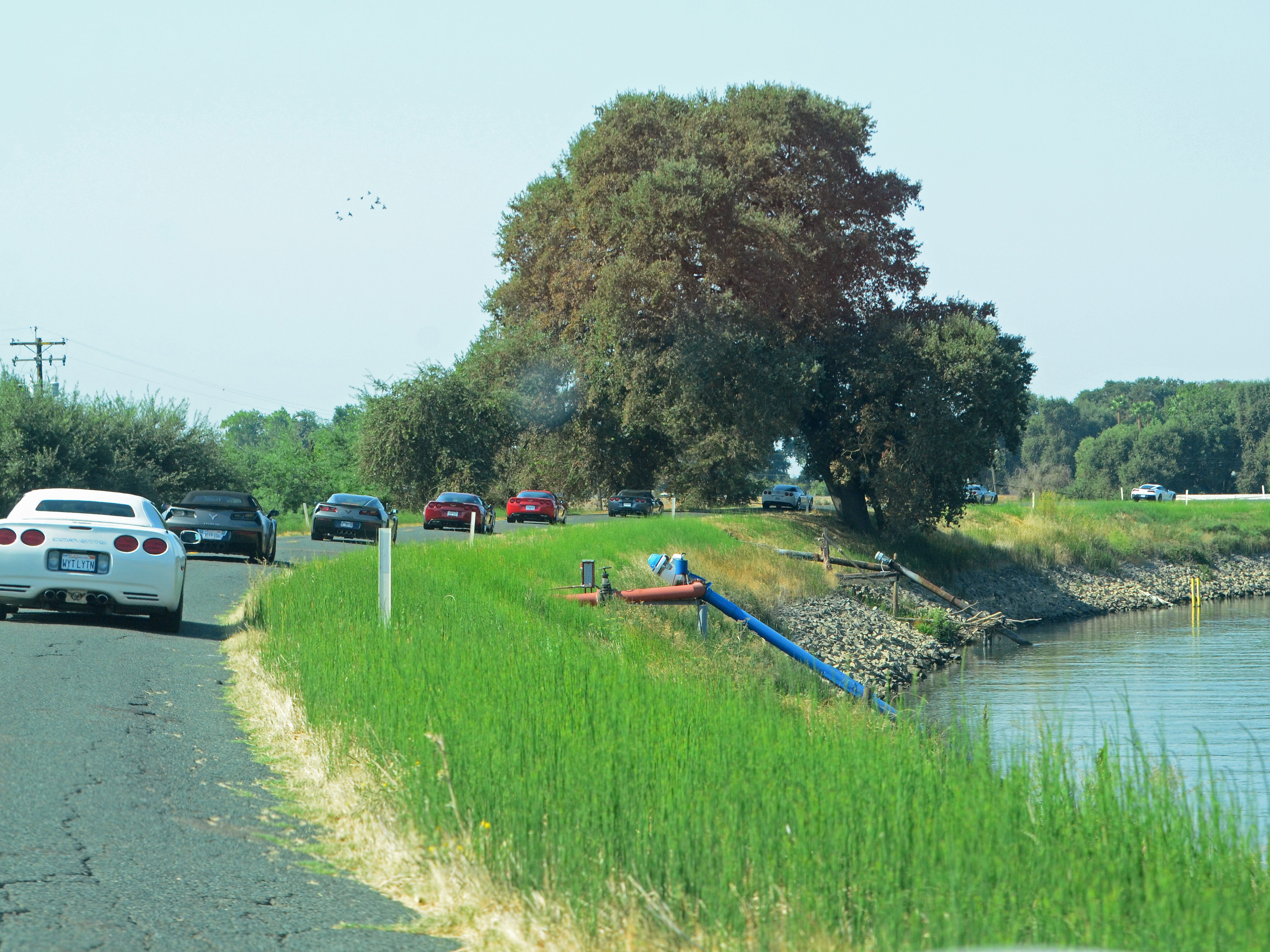 Simi Valley Corvettes