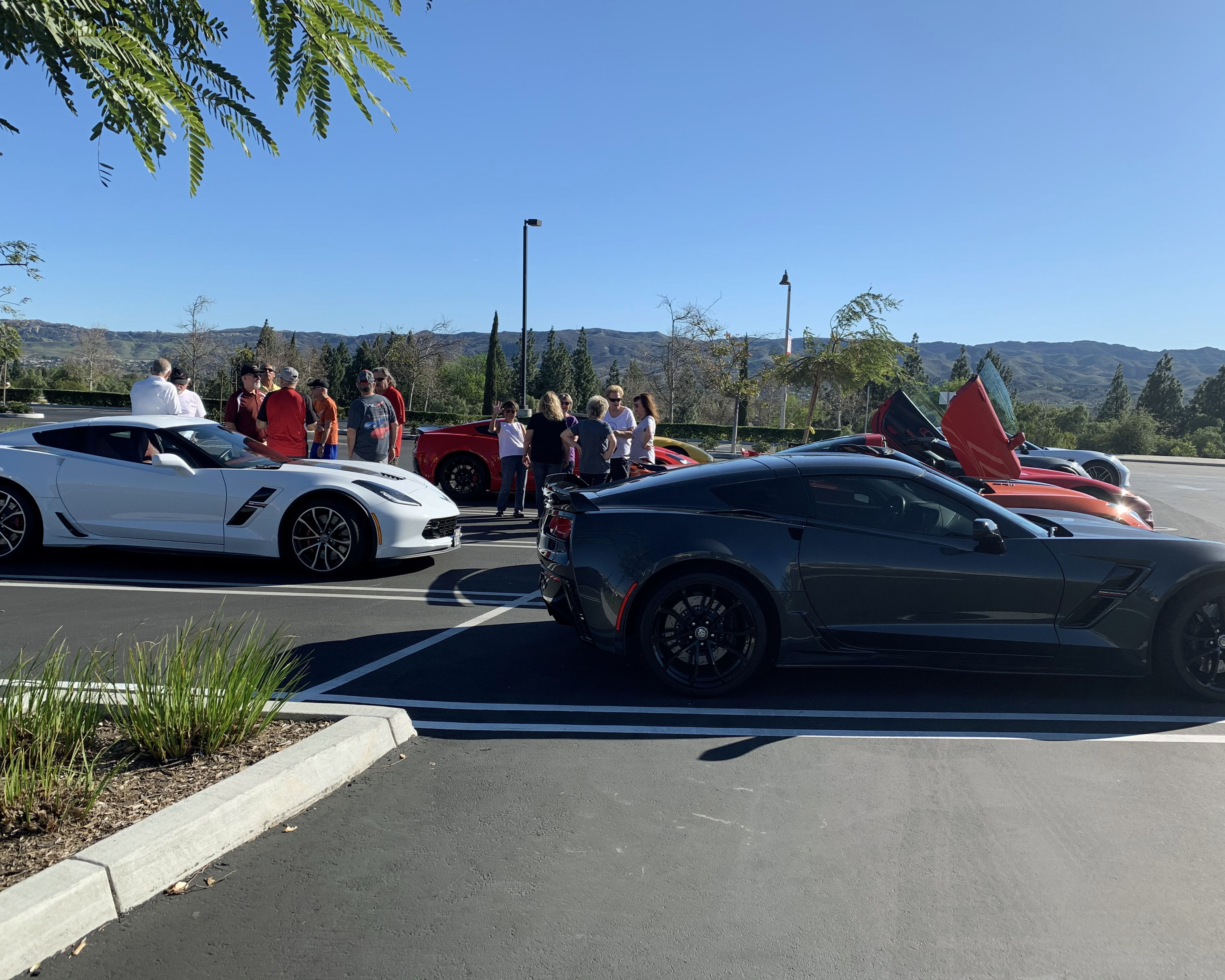 Simi Valley Corvettes
