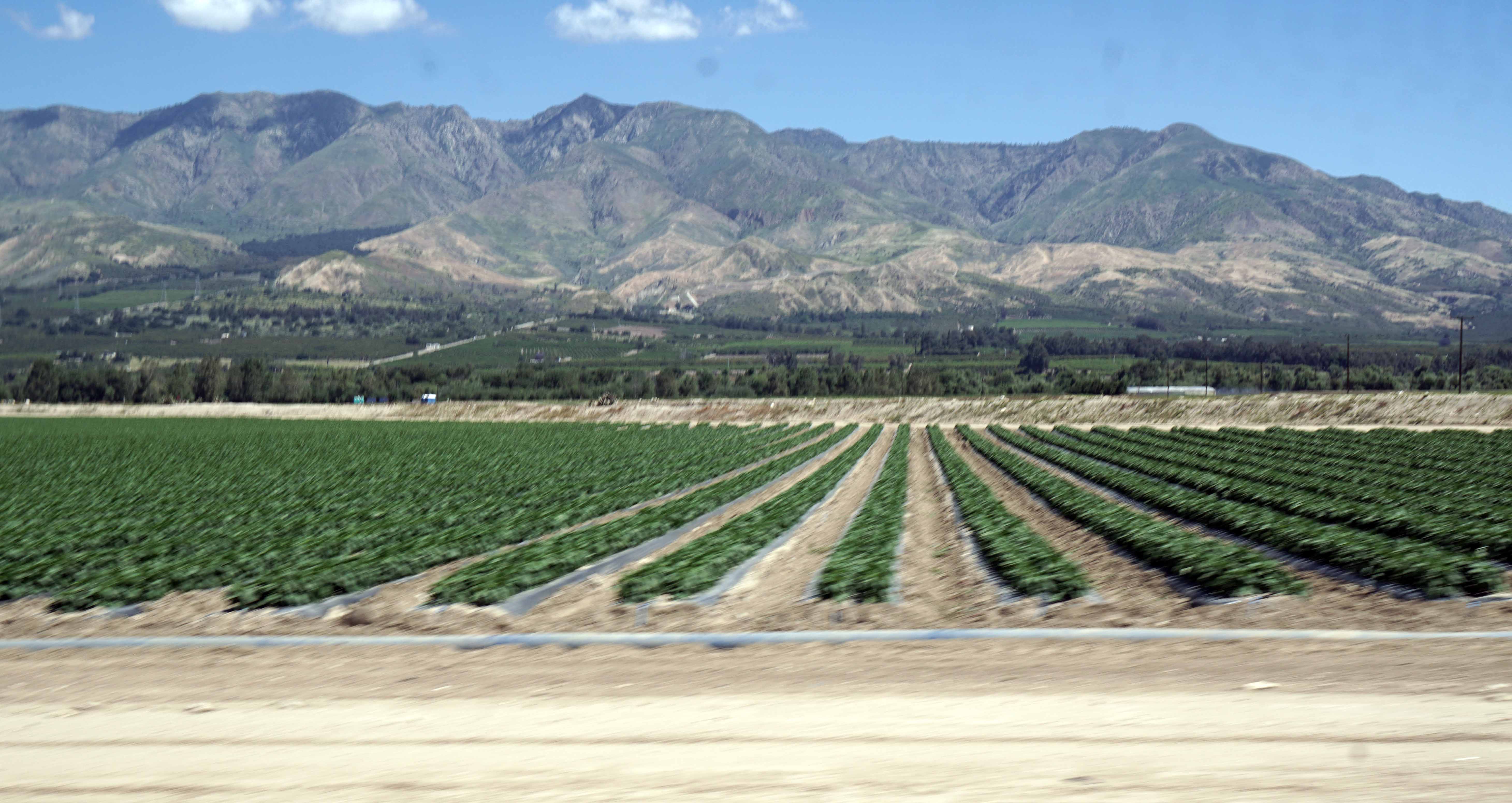 Simi Valley Corvettes
