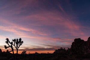 road-trip-la-to-the-grand-canyon-7-1024x684